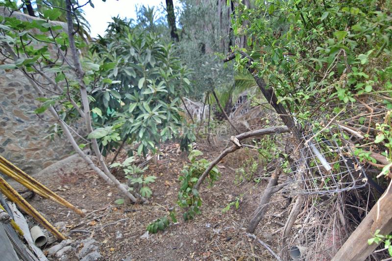 Foto bd8fd7fb-203d-43c3-91eb-0936ebfee3ca. House in San Bartolomé Interior San Bartolomé de Tirajana