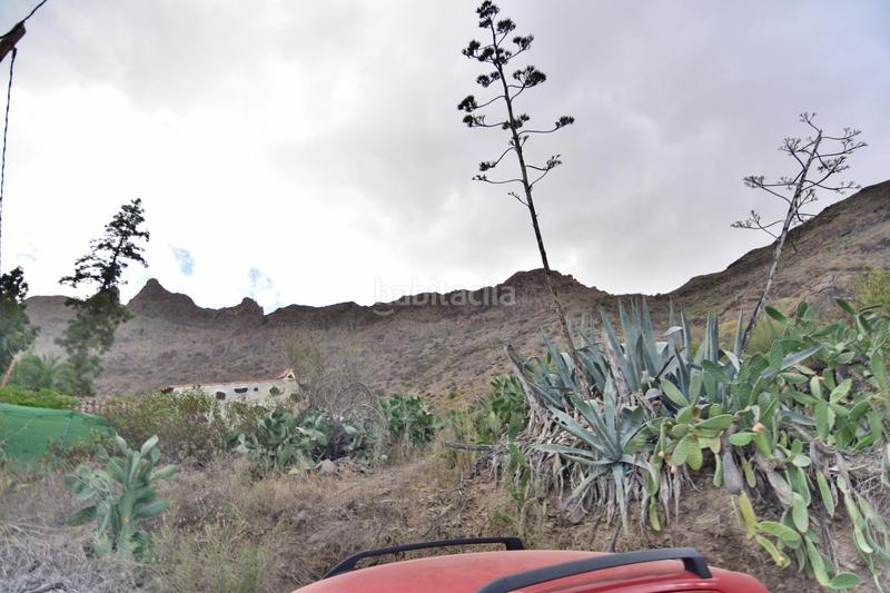 Foto e2a9c0c0-3034-4eda-8c89-28bd95a0603e. House in San Bartolomé Interior San Bartolomé de Tirajana