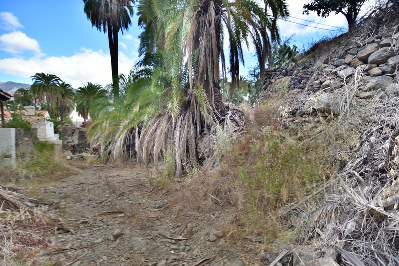 Foto f88b3f2c-95e9-4455-9fcc-8927725ca45c. House in San Bartolomé Interior San Bartolomé de Tirajana