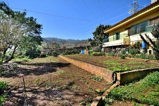 Masia  Montaa cabreja 8. Finca en las coloradassan mateo
