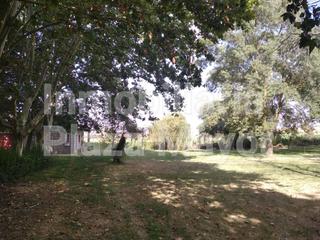 Finca rústica a Villamayor. 3999 parcela con regugio en villamayor