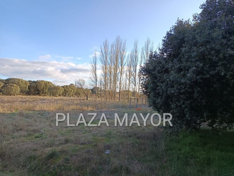 Foto 7c56541d-fe50-4a06-9286-559a68153b3a. Finca rústica a Calvarrasa de Arriba