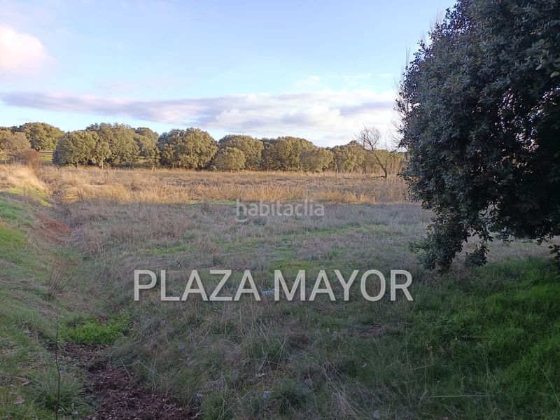 Foto a8043ff0-8597-4ebe-921d-72f04db53a1b. Finca rústica a Calvarrasa de Arriba