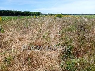 Landgut in Pelabravo. 4469 parcela agricola