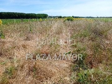 Foto d9d9865c-6180-4472-90c6-d038944bcb70. Finca rústica a Pelabravo