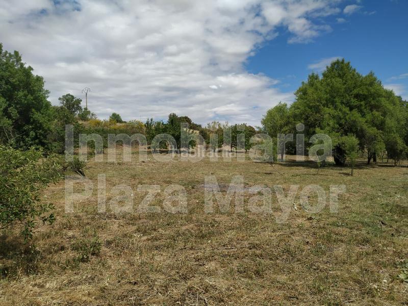 Foto 884c18cc-a181-4eb5-8c1a-75330c953320. Finca rústica a Almenara de Tormes