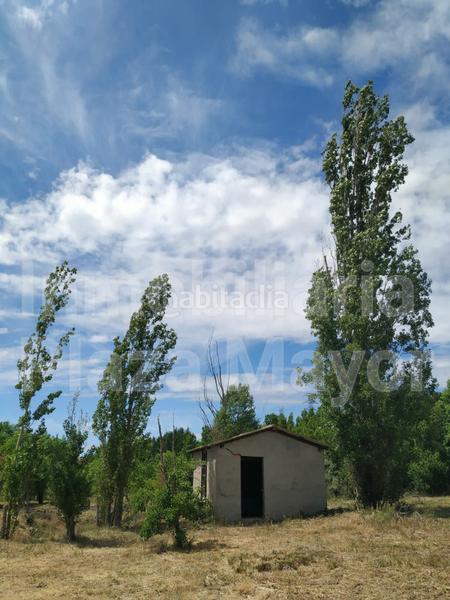 Foto c5f06f22-528c-42c4-adf1-a87bbf5933c9. Finca rústica a Almenara de Tormes