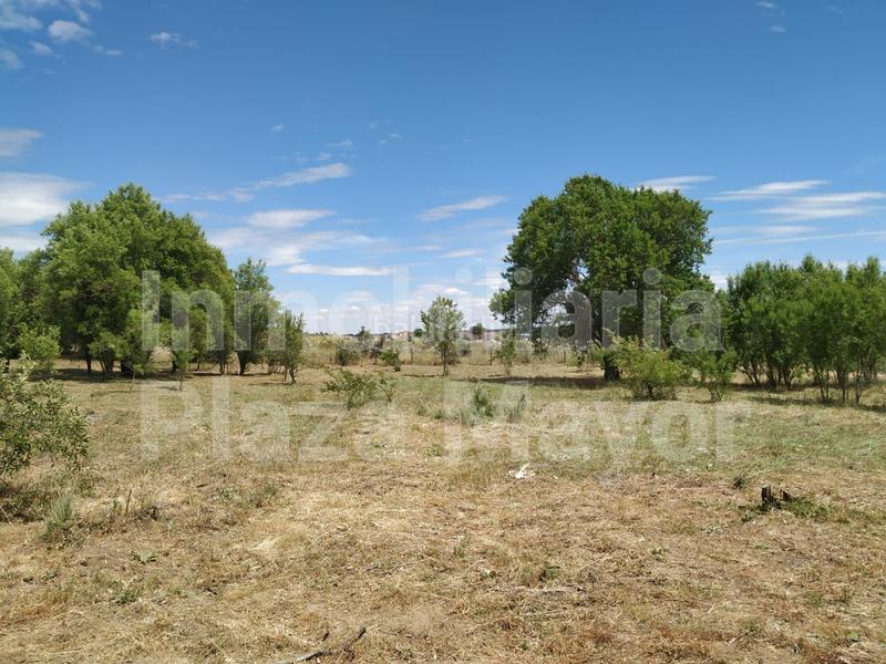 Foto ffb7ac62-7428-4444-bb92-0c181366f9f9. Finca rústica a Almenara de Tormes
