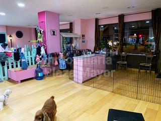 Local Comercial en Calle Olmos