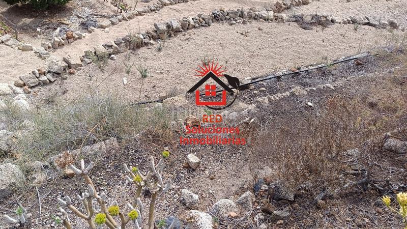 Foto b34f5a3e-069c-49f3-872b-544927fe068f. Fondo rustico in El Escobonal - Pájara Güímar