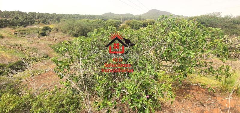 Foto 6a95d238-4e02-4204-8b35-92e35166cfda. Terreno residenziale in La Esperanza - Llano del Moro Rosario (El)