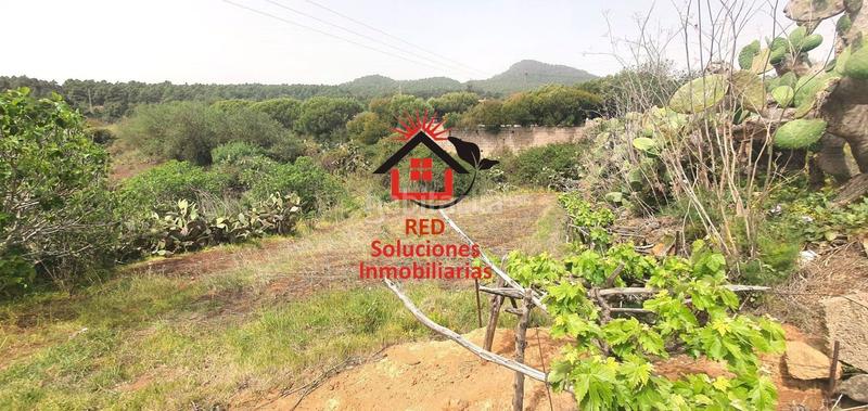 Foto 8a1fc00f-cc1e-4203-91c5-1a9c726af36c. Terreno residenziale in La Esperanza - Llano del Moro Rosario (El)