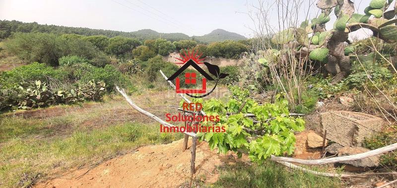 Foto 8bf6eb55-1bb5-447d-875c-4281befb7a57. Terreno residenziale in La Esperanza - Llano del Moro Rosario (El)