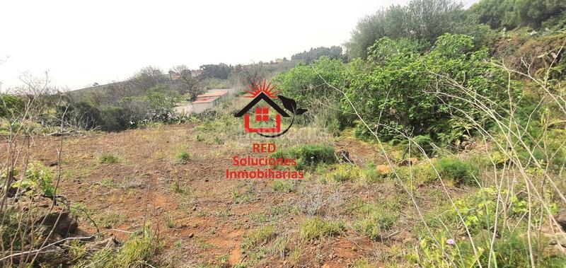 Foto f6469e9e-3392-42c4-aac4-77b46f3824ec. Terreno residenziale in La Esperanza - Llano del Moro Rosario (El)