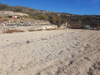 Finca rústica en El Escobonal - Pájara. Red vende finca rústica con charca el escobonal, güimar