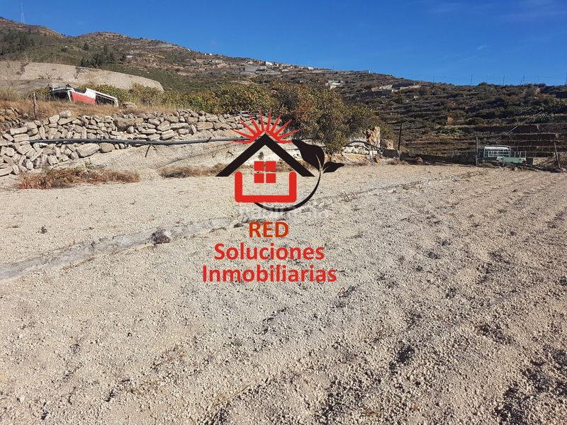 Foto 58f35bf0-291c-4fff-bb8b-245d532396a6. Finca rústica a El Escobonal - Pájara Güímar