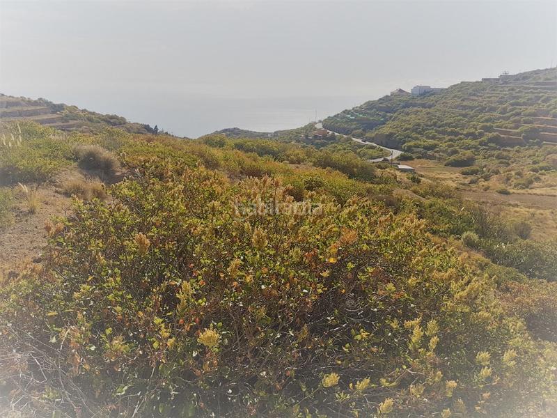 Foto c7ada22a-0a16-412f-a5f5-db7a59611005. Fondo rustico in El Escobonal - Pájara Güímar