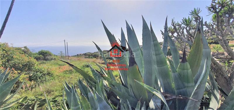 Foto 3611ebca-ff57-4361-8220-4f752093121f. Finca rústica a El Escobonal - Pájara Güímar