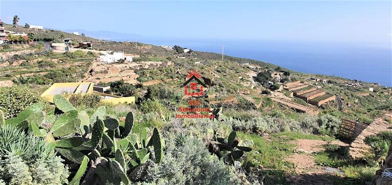 Foto 55cc53d2-f3d8-4f32-ac1e-bcb6de519cce. Finca rústica a El Escobonal - Pájara Güímar