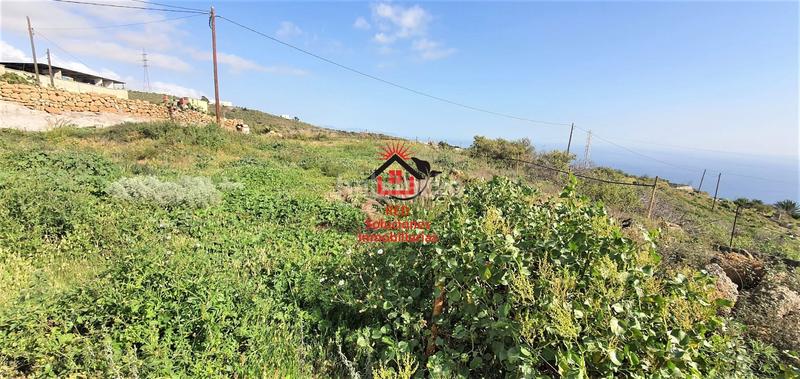 Foto bd4ced68-a067-49e9-8d87-6451104ab052. Finca rústica a El Escobonal - Pájara Güímar