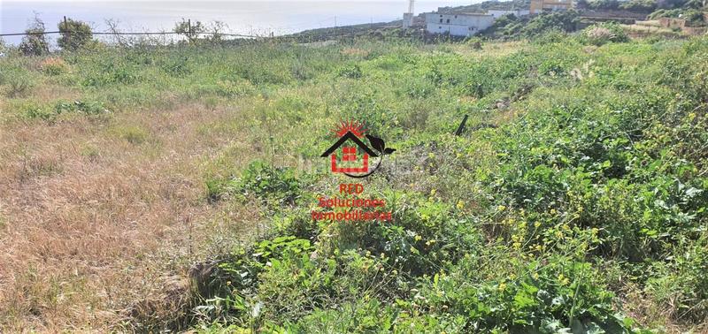 Foto d6f6bade-9ba7-438d-b0fd-d2e226ce47b6. Finca rústica a El Escobonal - Pájara Güímar