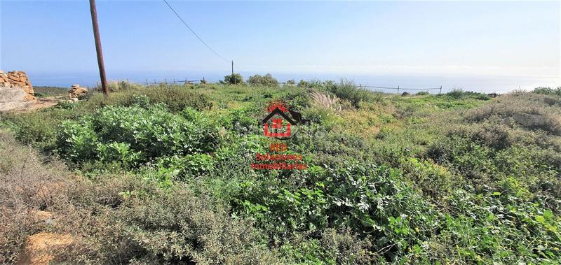 Foto eb2967bd-d980-4d2a-8dc3-d021be7e1d1f. Finca rústica a El Escobonal - Pájara Güímar