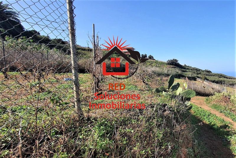 Foto 10af1cad-ed1b-4c5f-88f8-2420df553f89. Finca rústica a Sauzal (El)