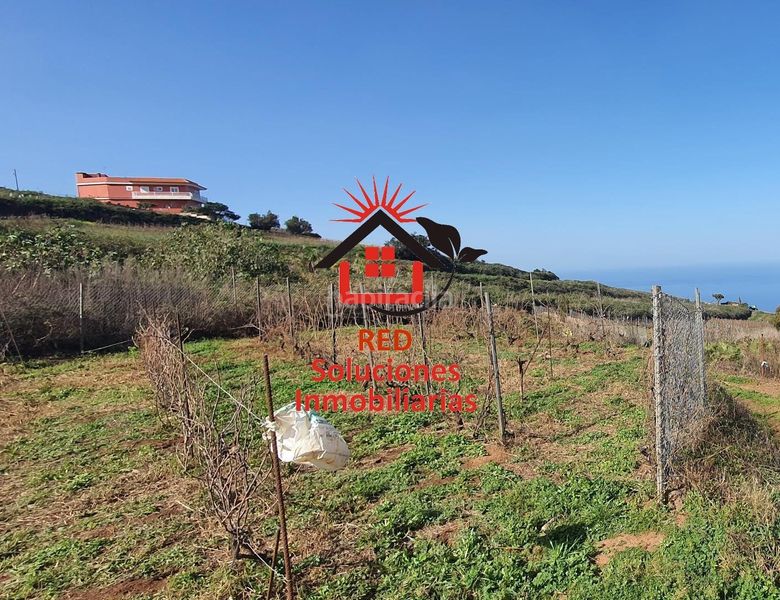 Foto 5658f913-b0cd-47e1-aaf2-49f71a2d0aca. Finca rústica a Sauzal (El)