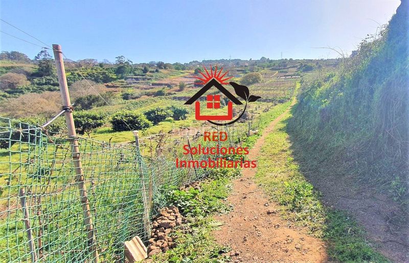 Foto 58853591-ad45-4a68-b0ea-adde632bafb7. Finca rústica a Sauzal (El)