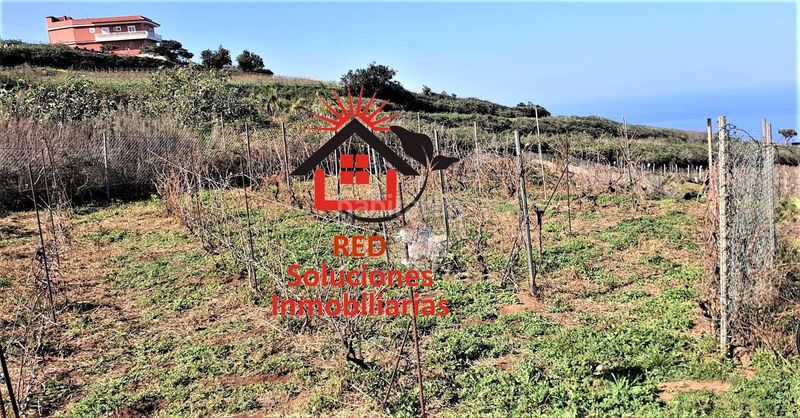 Foto 62d7856e-d1a7-48f3-9574-a6e91eb654e3. Finca rústica a Sauzal (El)