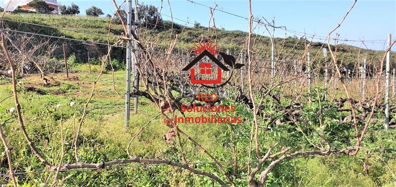 Foto 6c5ca87f-f7df-4622-b320-d622155c0125. Finca rústica a Sauzal (El)
