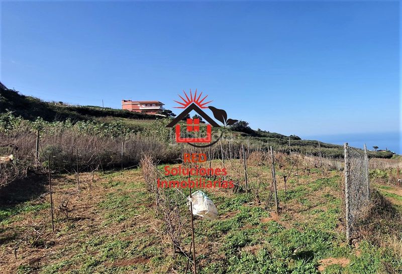 Foto 79107ff9-5883-411a-963f-eb738c78a534. Finca rústica a Sauzal (El)