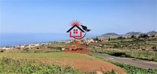 Fondo rustico  Los corraletes. Red vende finca agrícola zona ravelo, tacoronte