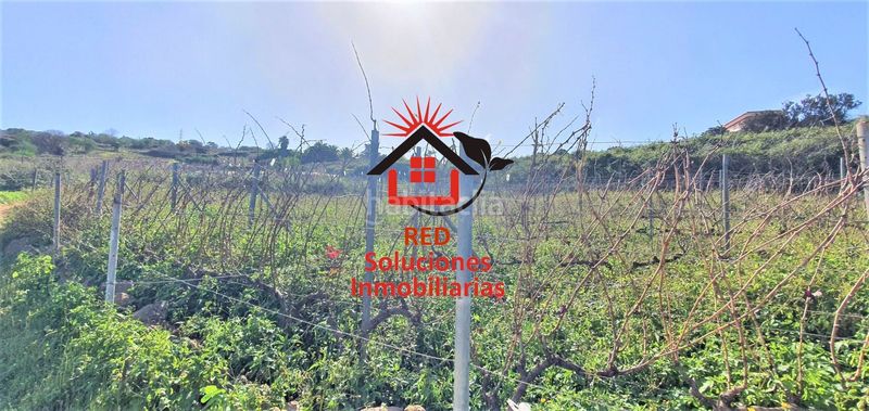 Foto de4a624d-711a-48c8-bb24-4772524733bb. Finca rústica a Sauzal (El)
