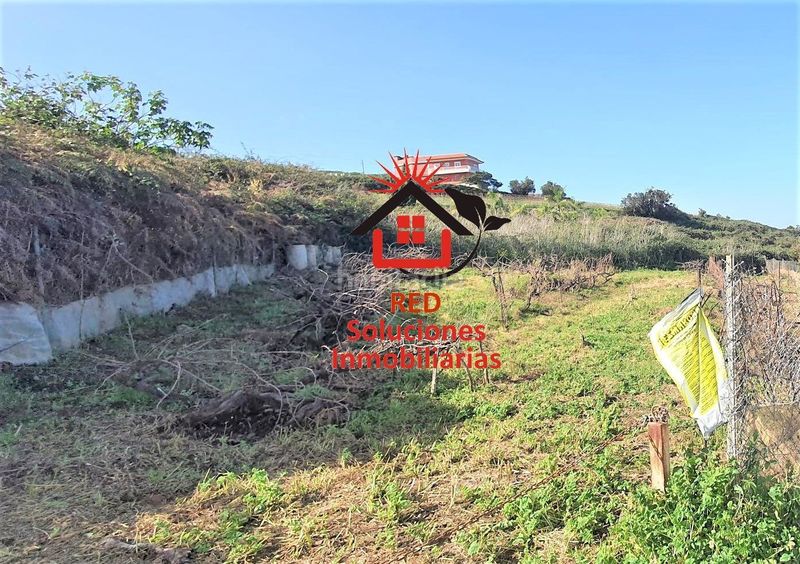 Foto df3eb335-5dfd-46db-a8a7-3d452612d57e. Finca rústica a Sauzal (El)