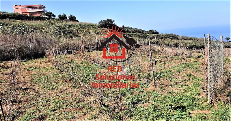Foto f32a9e77-2b59-4073-b307-a88b46707739. Finca rústica a Sauzal (El)