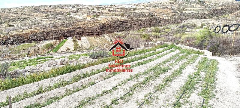 Foto 51a0b035-7fec-4b3d-a5f8-2951a543d2b1. Fondo rustico in El Escobonal - Pájara Güímar