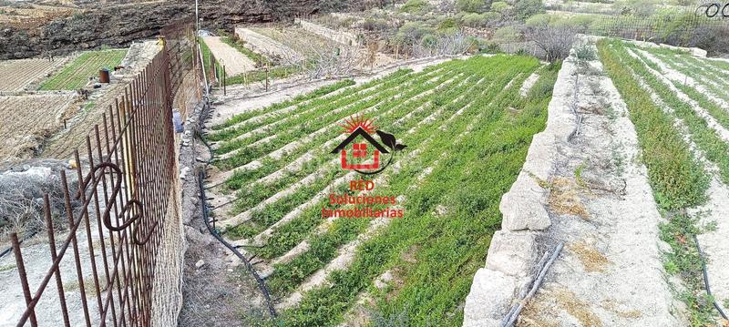 Foto 9f2fa8be-b09d-4541-bcce-b032d60b54e6. Fondo rustico in El Escobonal - Pájara Güímar