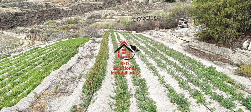 Foto a40f0be6-5ac3-45ae-a754-c16c595c1a41. Fondo rustico in El Escobonal - Pájara Güímar