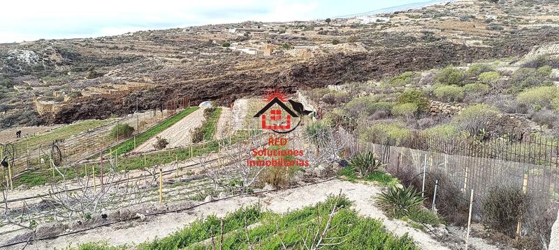 Foto b3210f83-c263-4157-b9b9-2cadc0744e26. Fondo rustico in El Escobonal - Pájara Güímar