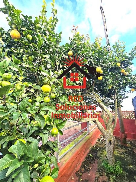 Foto 043bc8e7-e72e-4818-88ce-2aa9445e9b9e. Casa amb aparcament a Sauzal (El)