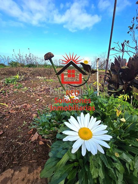 Foto 0f1121dd-d295-4b8f-933e-ed960c222589. Casa amb aparcament a Sauzal (El)
