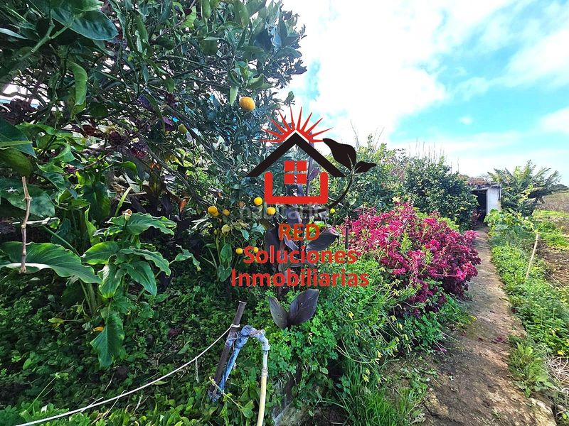 Foto f37294f2-aeb5-466f-8901-7058835ad757. Casa amb aparcament a Sauzal (El)
