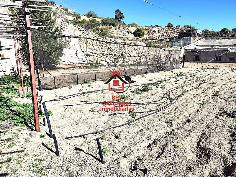 Foto 3c03e871-cc1e-4f31-9a10-7d9076258174. Finca rústica a El Escobonal - Pájara Güímar