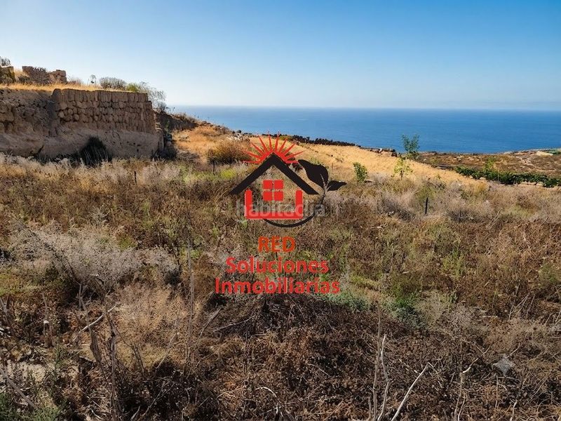 Foto e4d21cdf-f573-4fe3-b21d-ae21e550f1da. Finca rústica a El Escobonal - Pájara Güímar