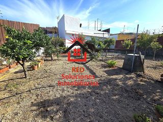 Lloguer Masia  Morro cho miguel. Red alquila exclusiva casa de campo con finca y árboles frutales