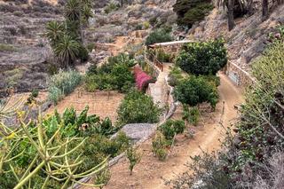Masia a Calle ladera cementerio. Casa de campo en una gran parcela
