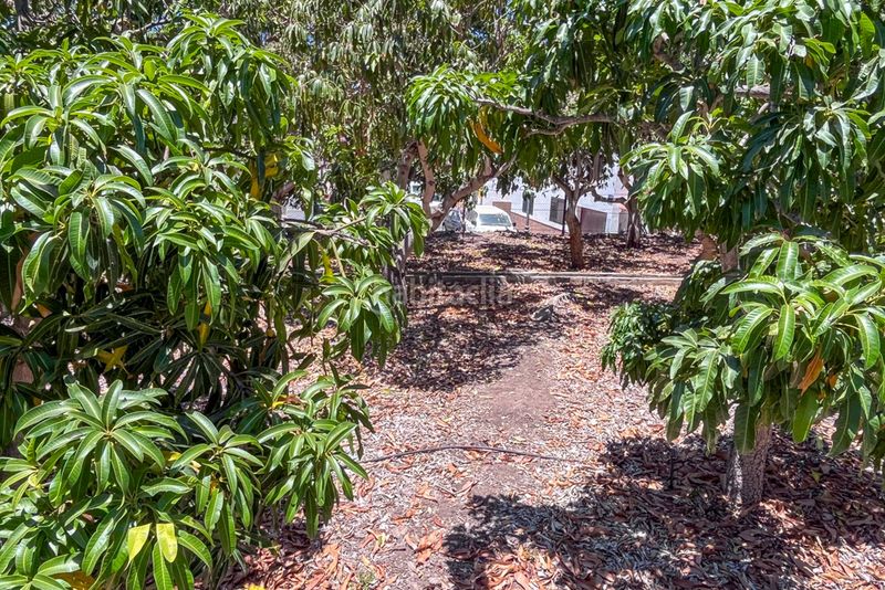 Foto 6ce81ca3-2ee3-4ba4-9596-e7d4841291f9. Terreno residencial en calle teguerguenche solar edificable en borbalan en Valle Gran Rey