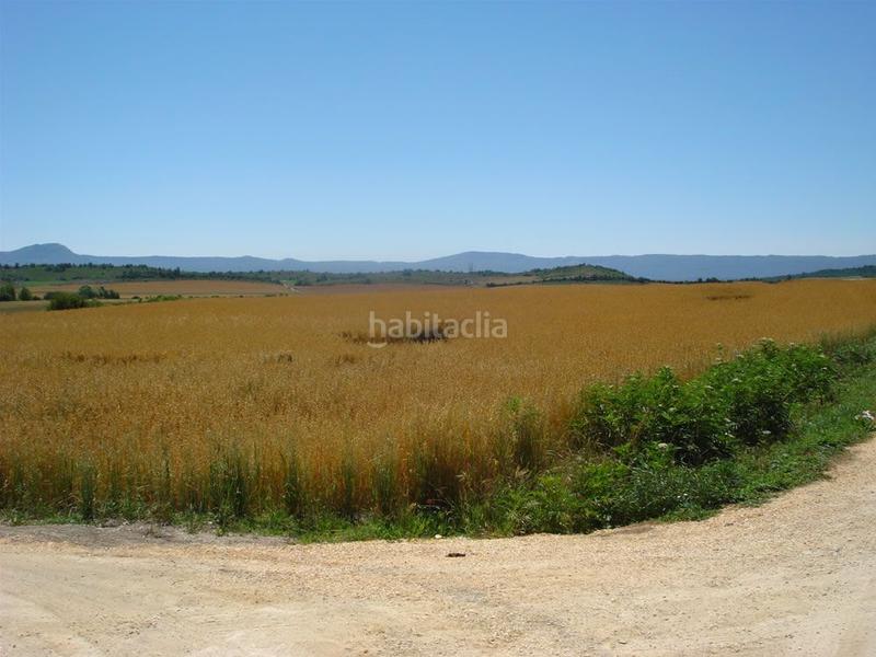 Foto 7fdf1975-f649-4a58-9a62-472ecbc64864. Wohngrundstück in salvatierra kalea 3 in San Millán / Donemiliaga