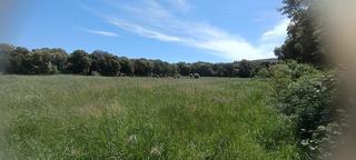 Terreny residencial a Calle carretera 6. Finca urbanizable en venta en iguzquiza (navarra)